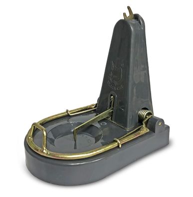 Black Cat Rat Trap is heavy duty and has a robust construction 