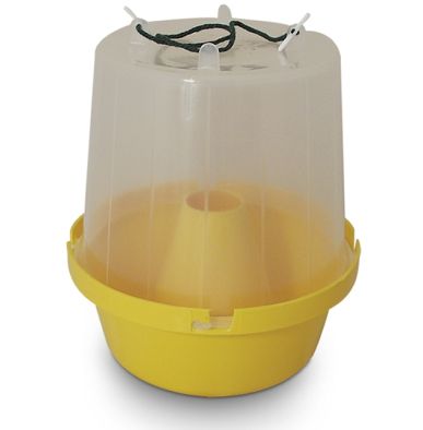 The Eradi Wasp Pot is designed to attract and trap wasps once the wasp attractant is filled 