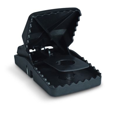 The black T-Rex Rat Trap can be used anywhere with a rodent problem 