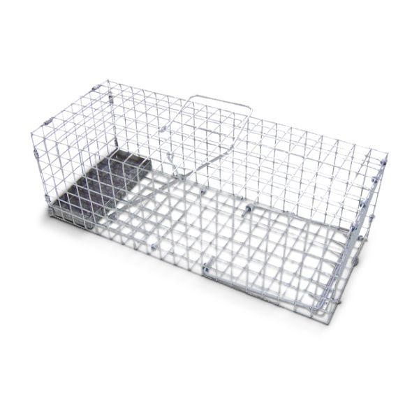 Rat Cage Trap - Humanely Catch Rats - 1env Solutions