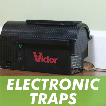 Best Electric Mouse Traps