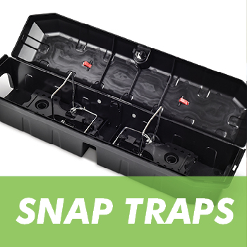 Mouse and Rat Traps - Rodent Control - 1env Solutions