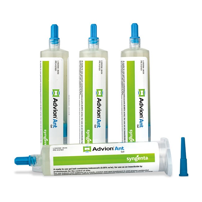 Advion Ant Gel